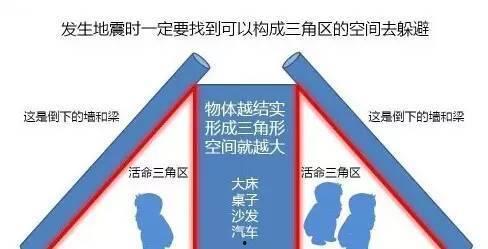 地震专家爆料新闻内容概括,揭秘地震预测的真相与挑战