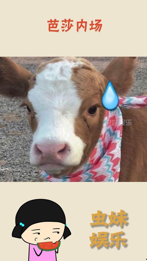 娱乐吃瓜酱狗子,揭秘娱乐圈那些不为人知的幕后故事 第2张 娱乐吃瓜酱狗子,揭秘娱乐圈那些不为人知的幕后故事 第2张